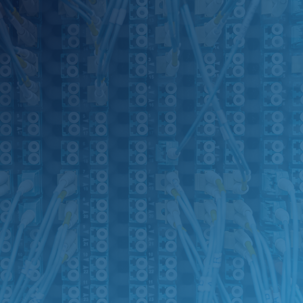 CTA Box BG Spring NL 26