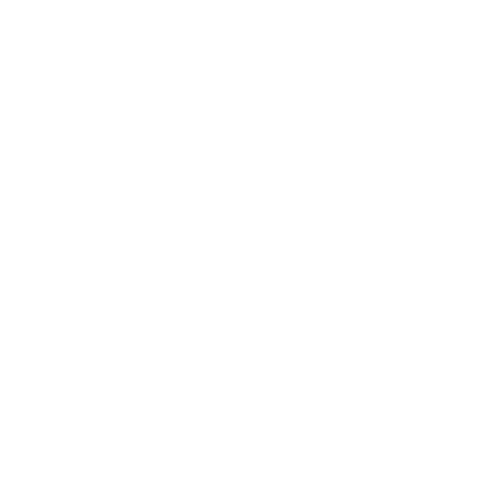 WHITE NDL Logo No Swoosh